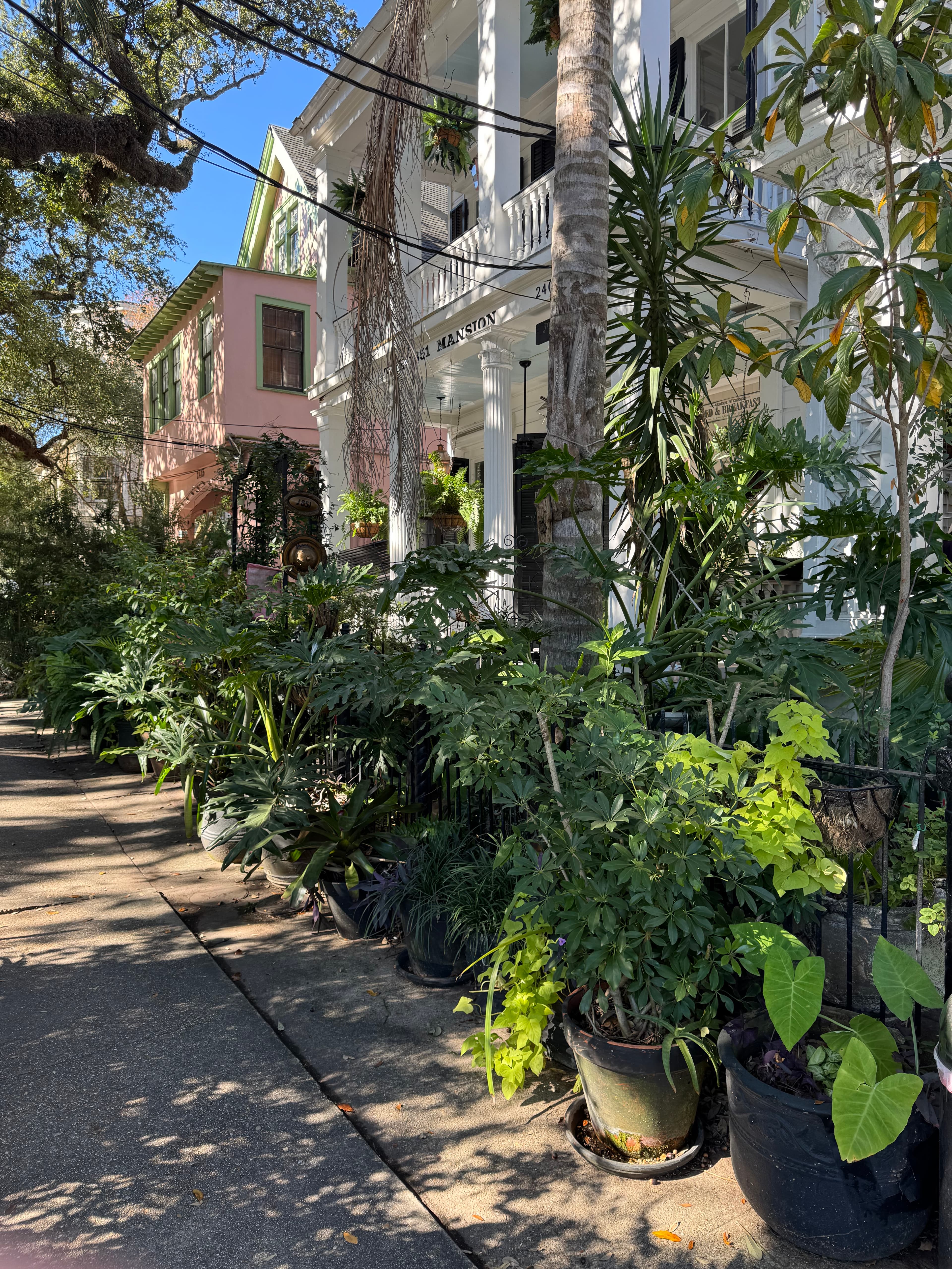 Garden District, New Orleans, Louisiana, United States